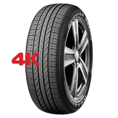 Roadian 581